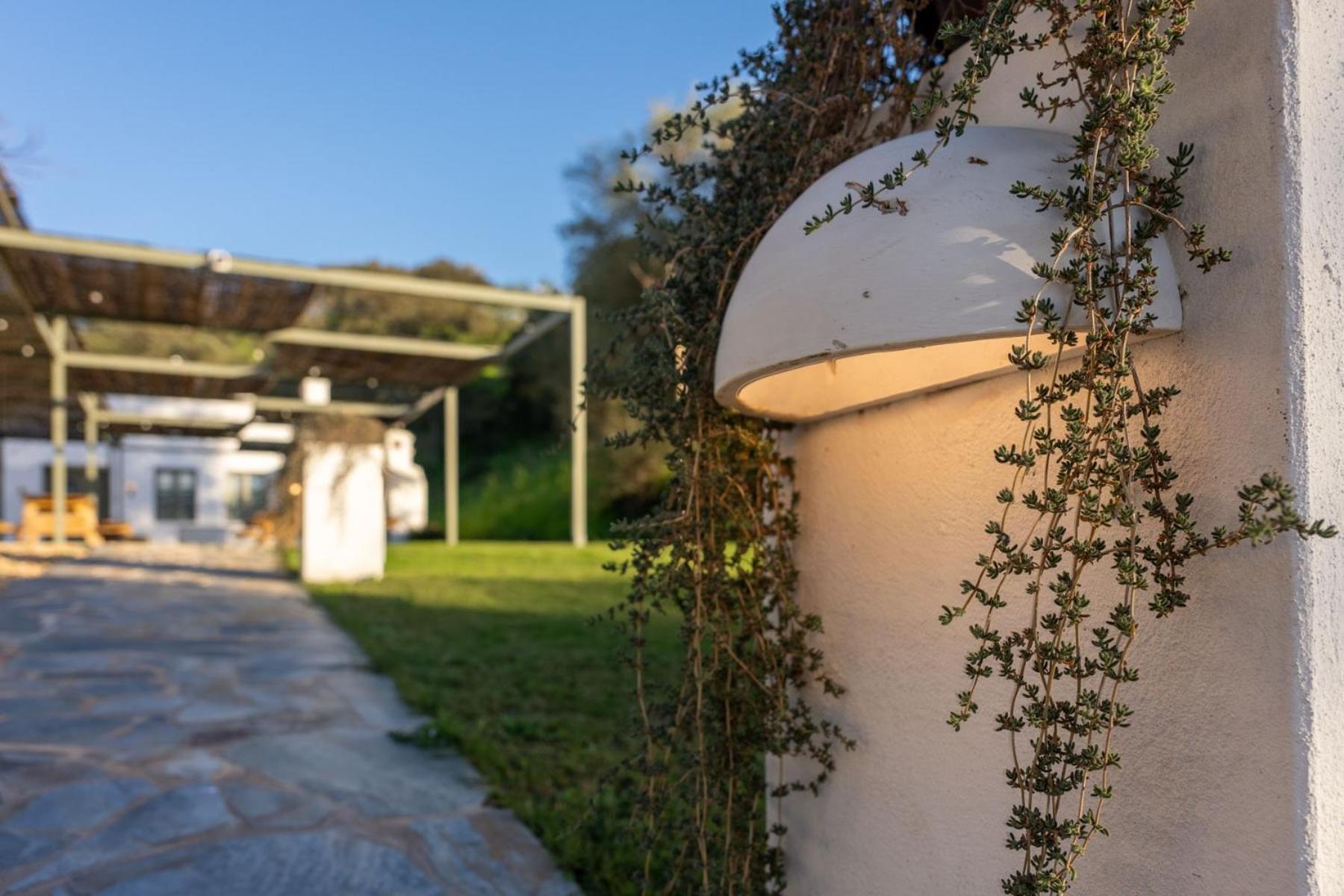 Apartamentos, Finca Contrabando Sanlucar Del Guadiana, Huelva Санлукар-де-Гвадіана Екстер'єр фото